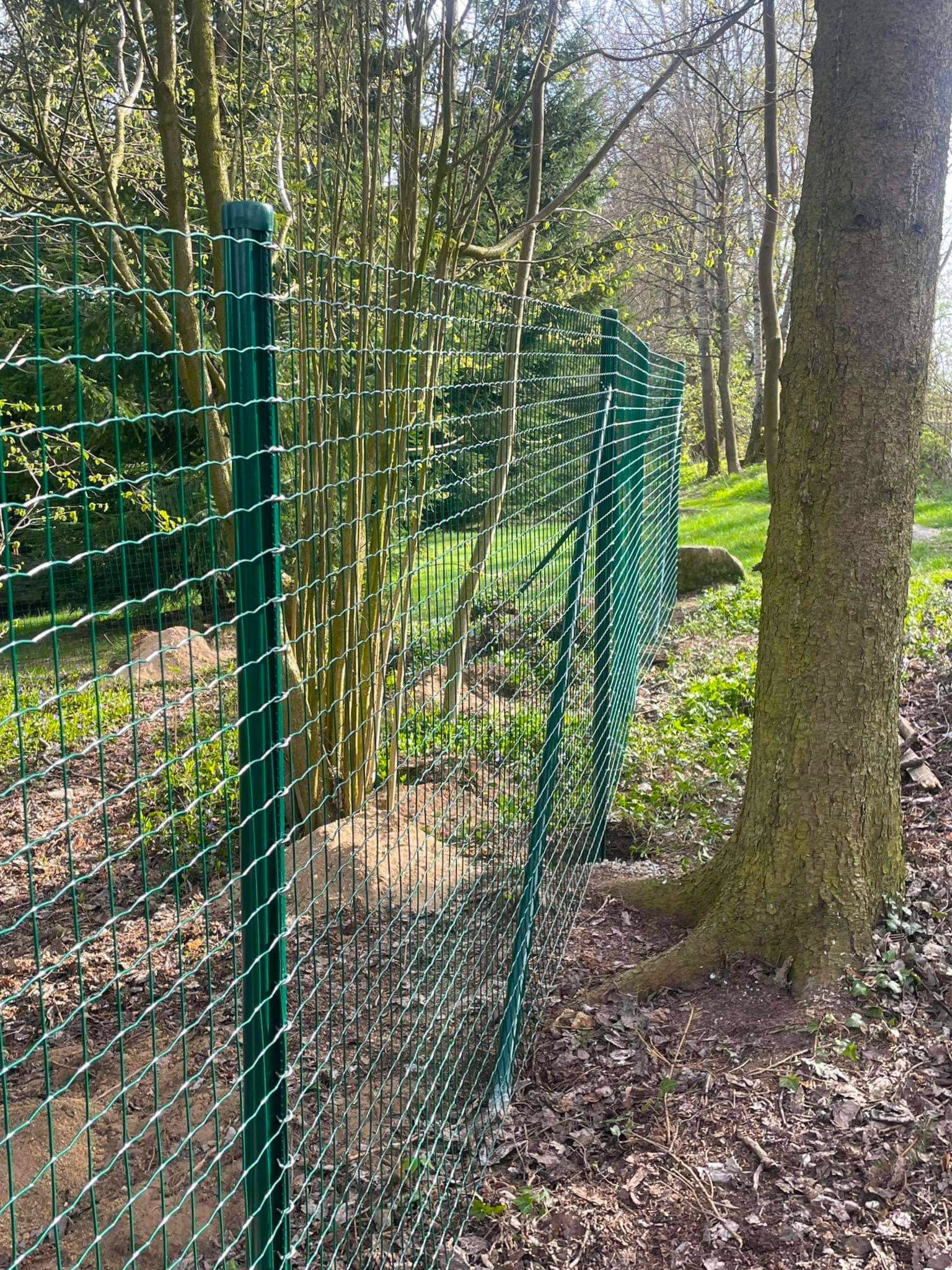 c03cbbcb-a1ec-46bd-a521-b1d21b0a70a8